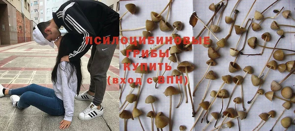 таблы Осинники