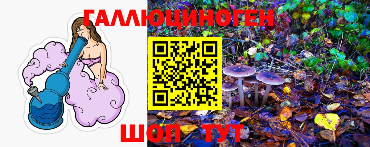 Ижевск  Псилоцибиновые грибы ЛСД  Галлюциногенные грибы GOLDEN TEACHER  Вход с VPN 