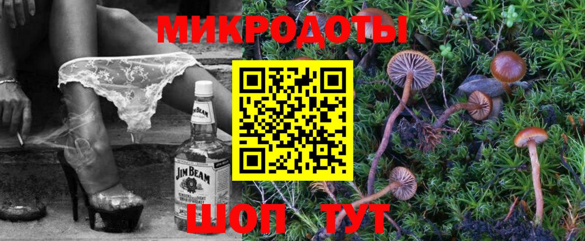 Галлюциногенные грибы Psilocybine cubensis Ижевск